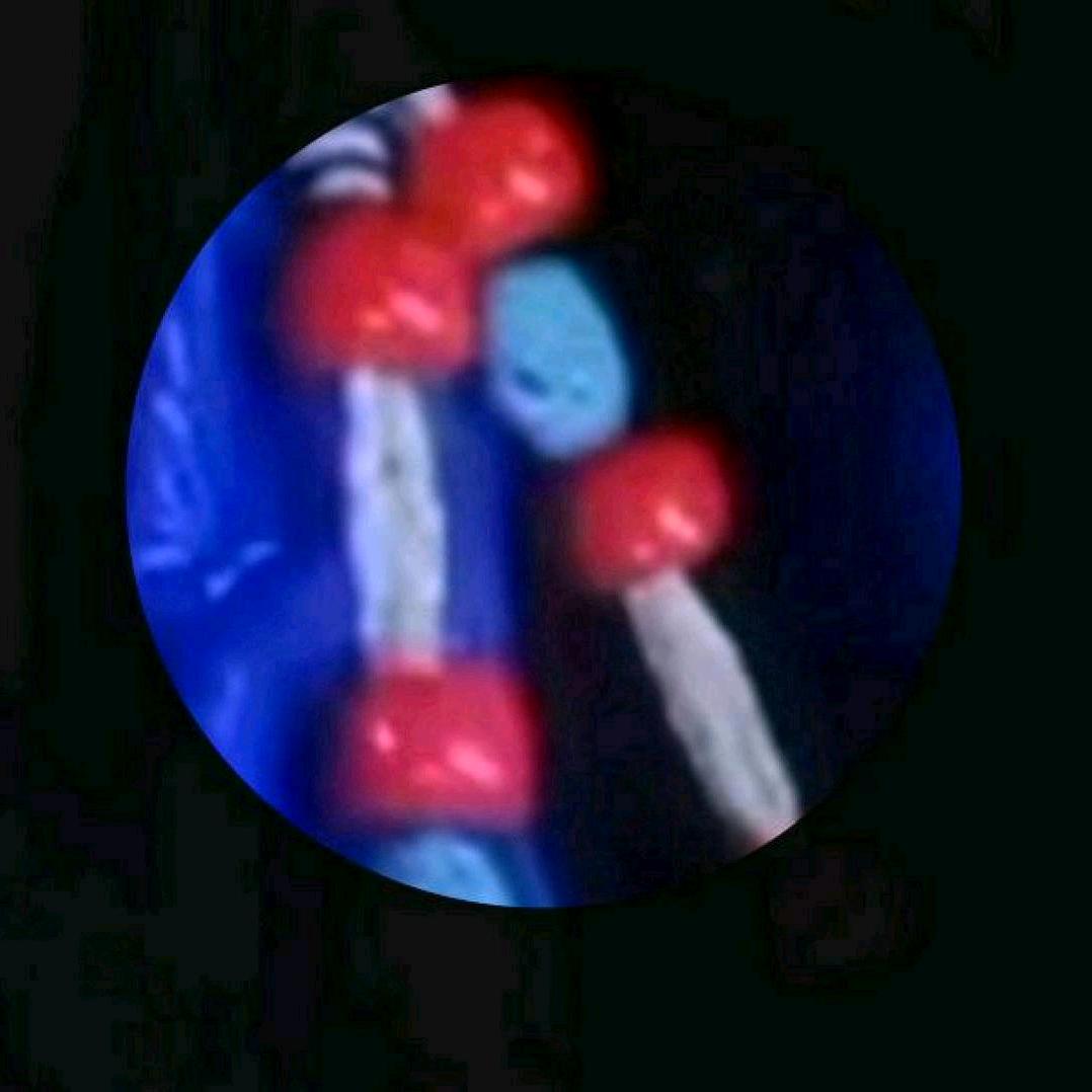 1376