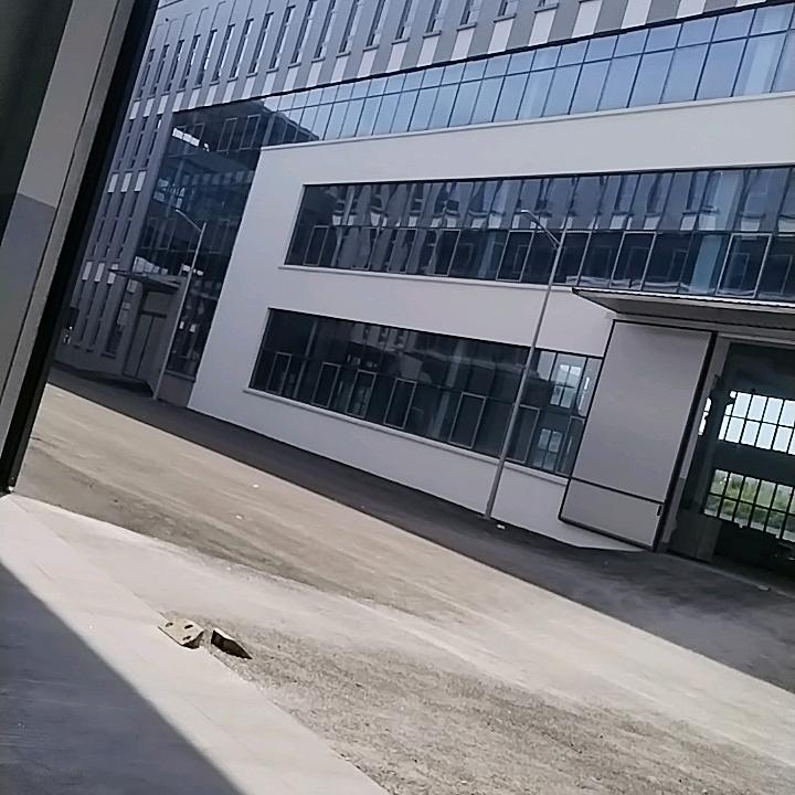 开朗乐观