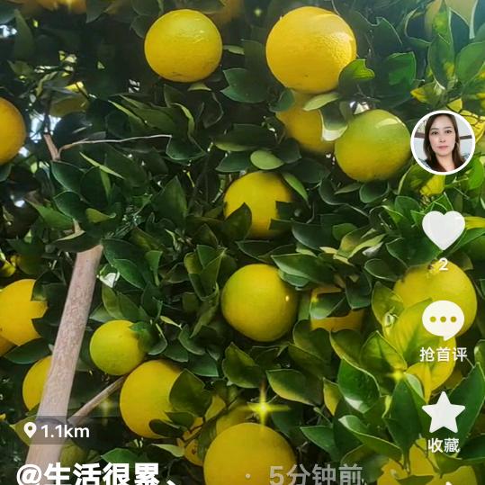 用户2060591388063徐哥