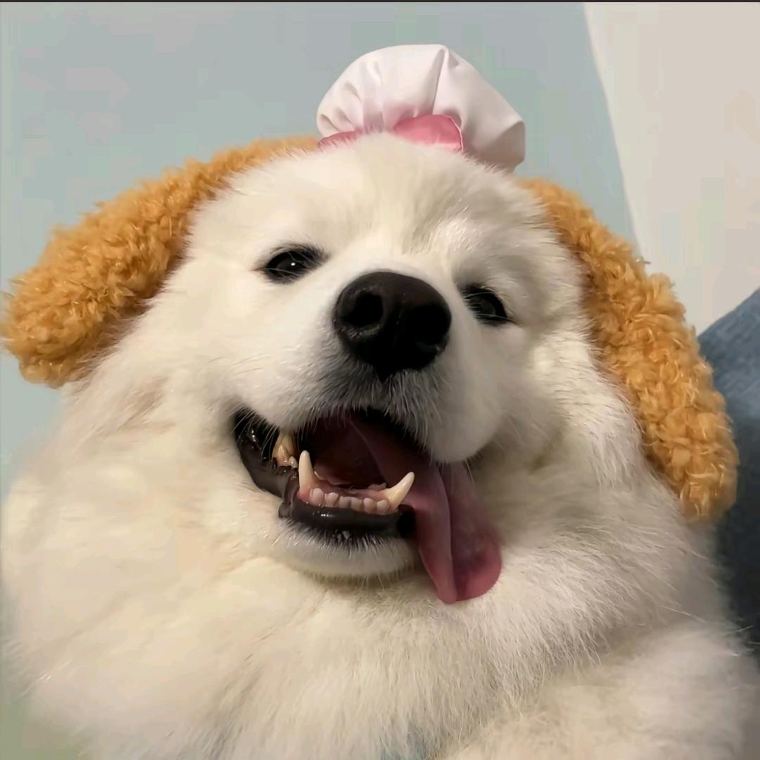 花开终成落