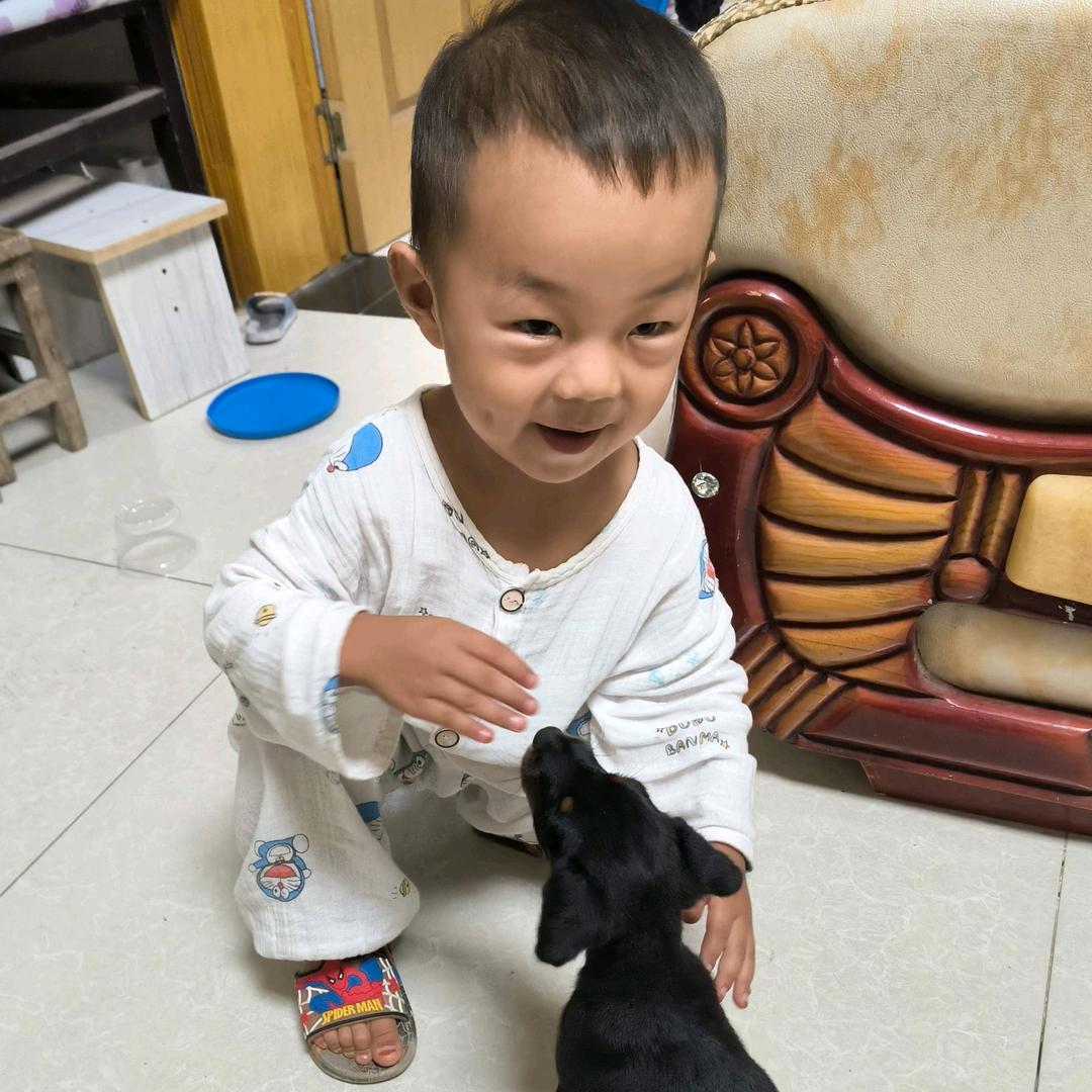 猎梗三宝