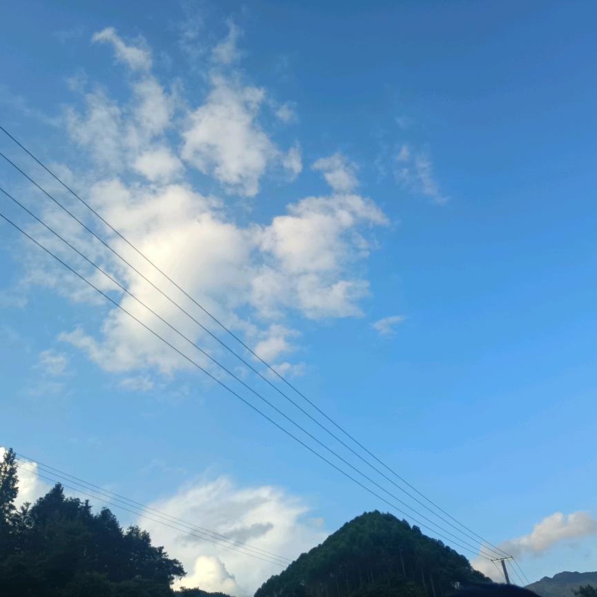 何清醒