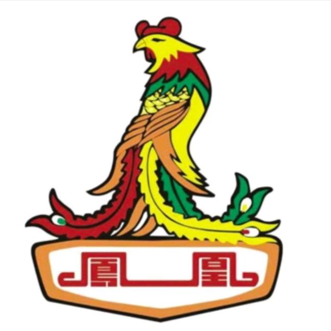 未来的你