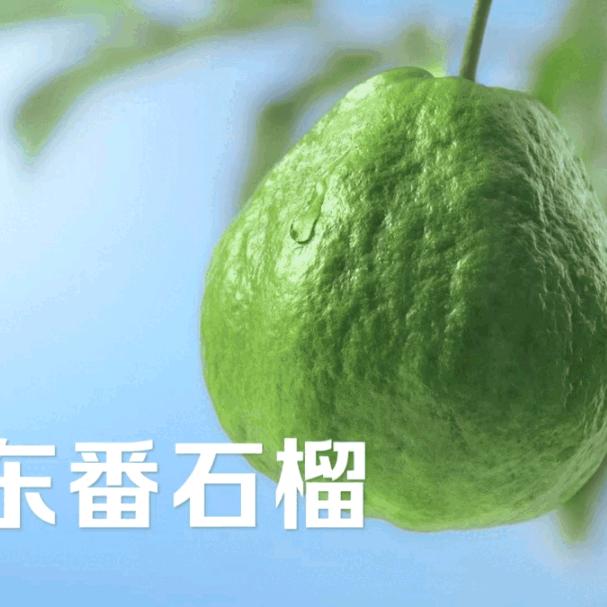 茂名农垦小马哥