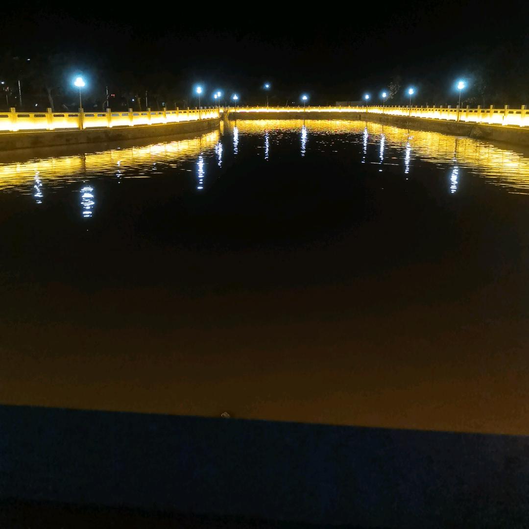 零零碎碎的董雨柔头像