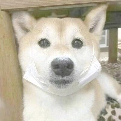 东东电竞考官毛豆（三角洲）