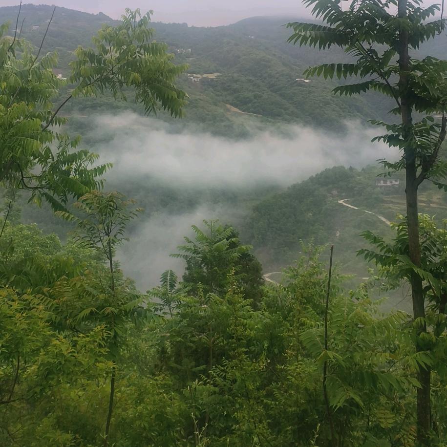 潘老师妙方