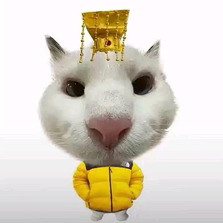 孔明