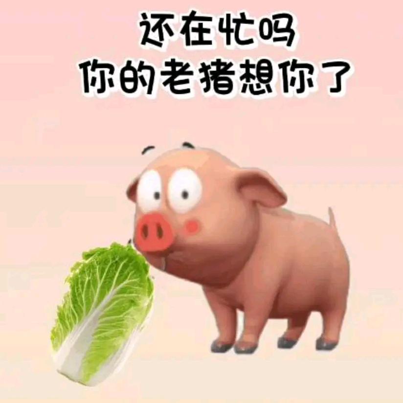 懒得很