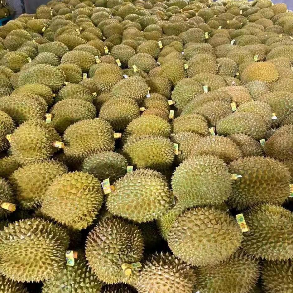 越泰榴莲