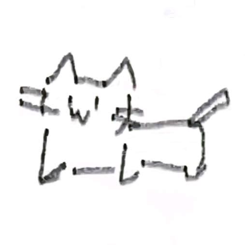 小鸡（不签to）