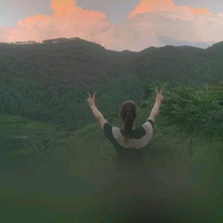 会