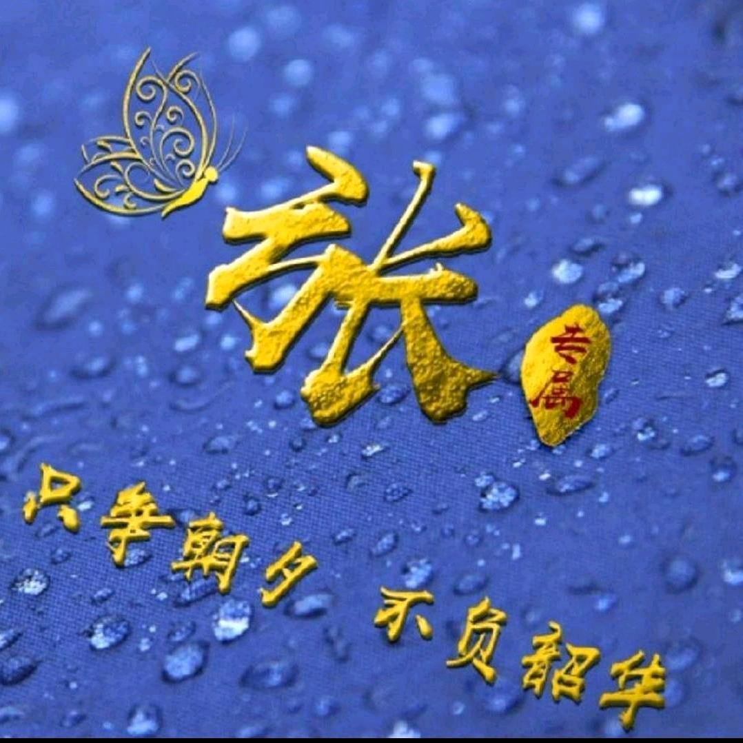 陕富人今天
