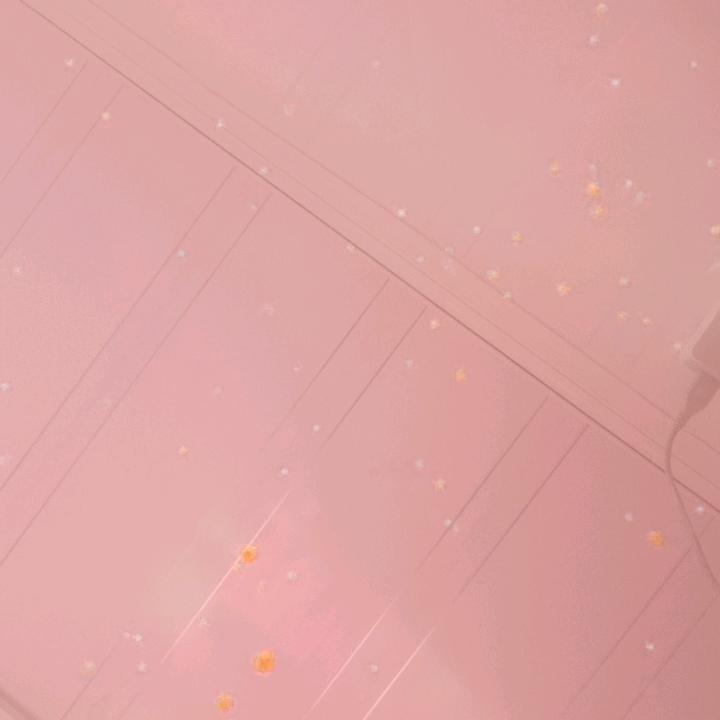 三姐