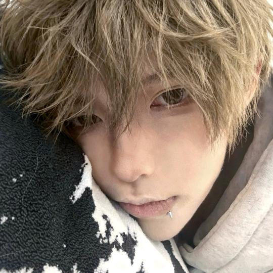 泥维森莫布嗦发