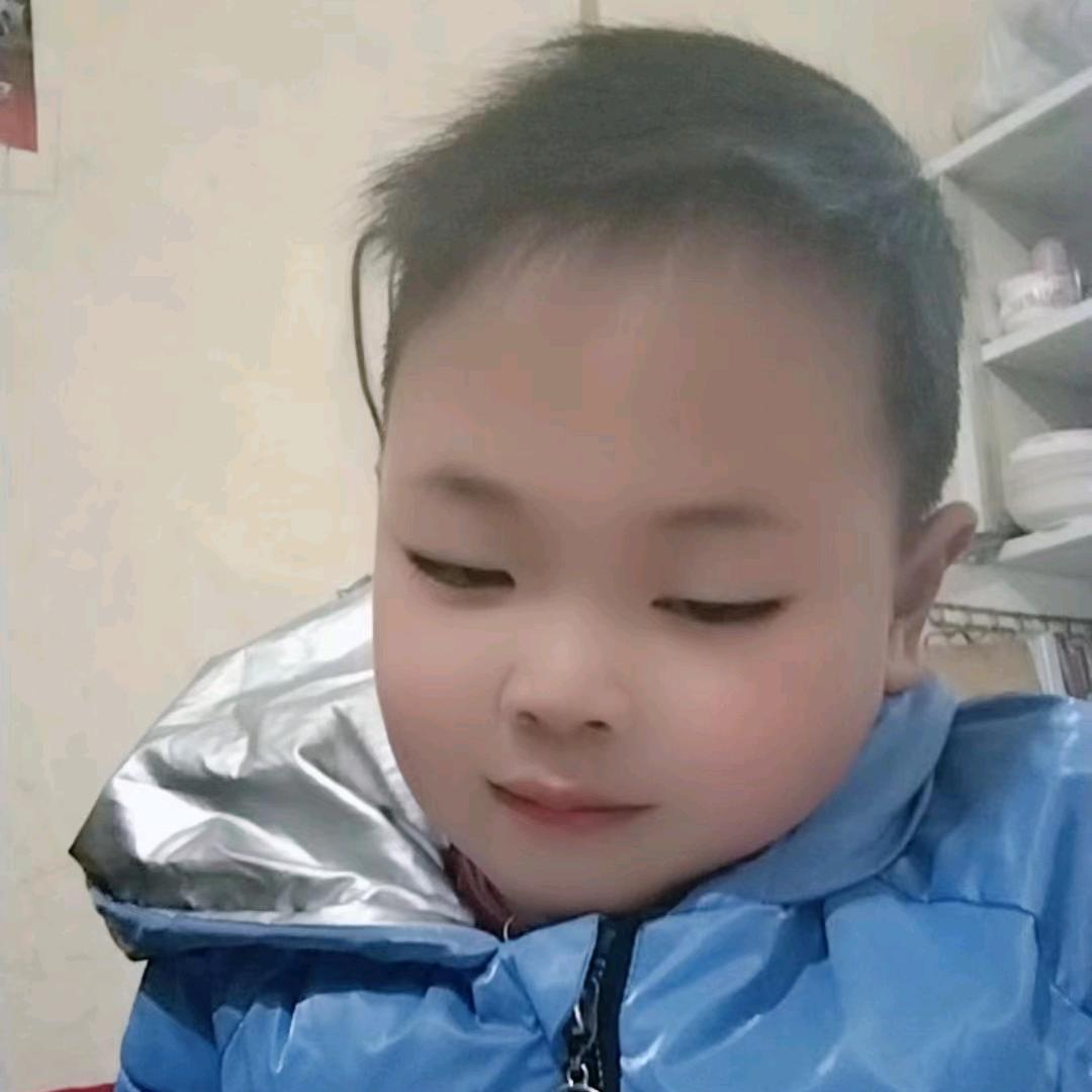 张安菊