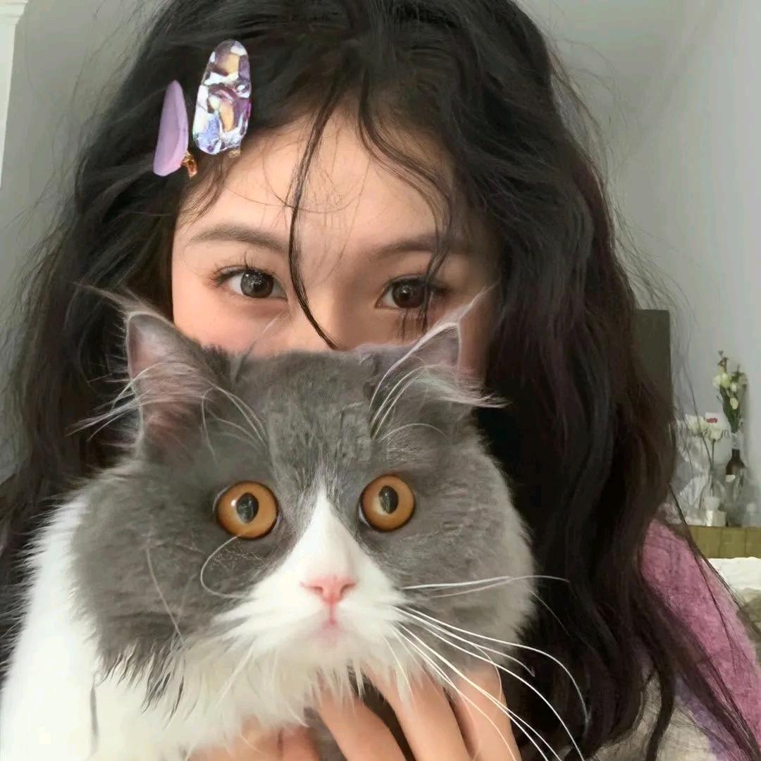 泡芙 .