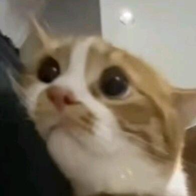 前进四