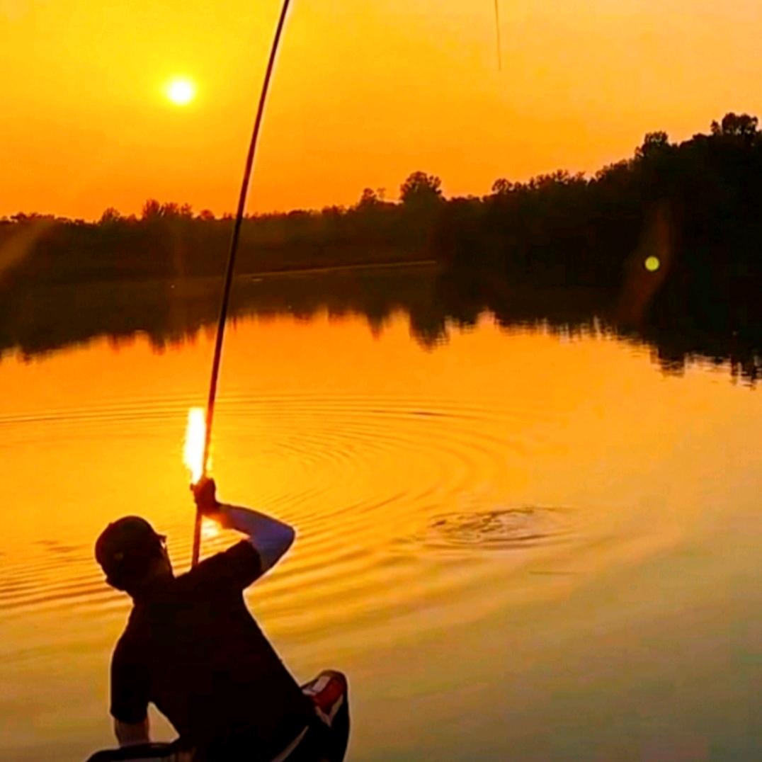 ღ᭄ꦿ左右逢元🎣࿐