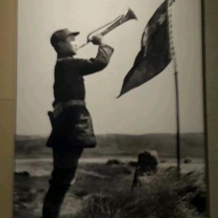 坦然强哥