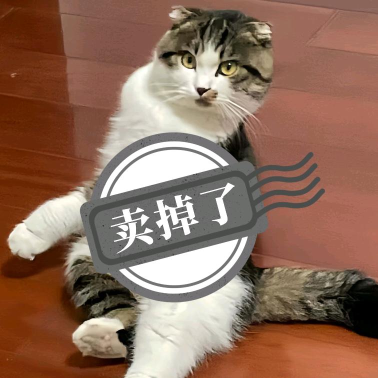 是菜啊～