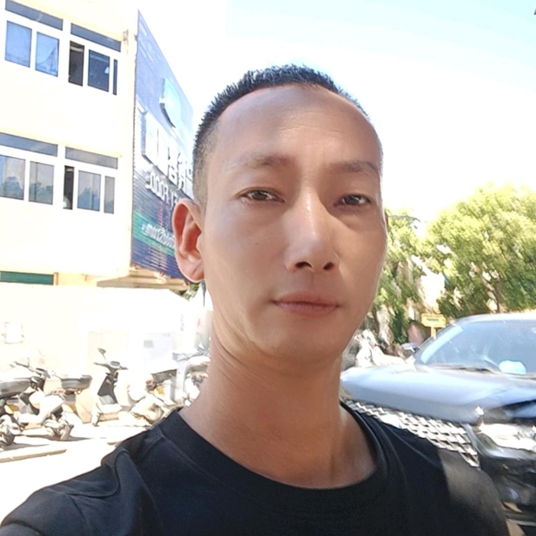 鲨鱼的温柔