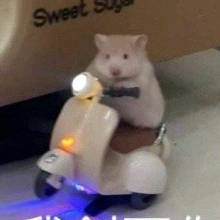 小许