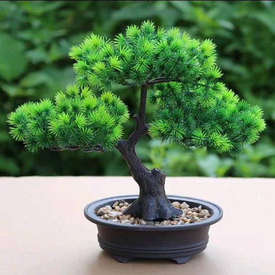 独自前程