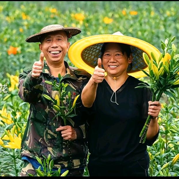青田马岭脚百合花老泮
