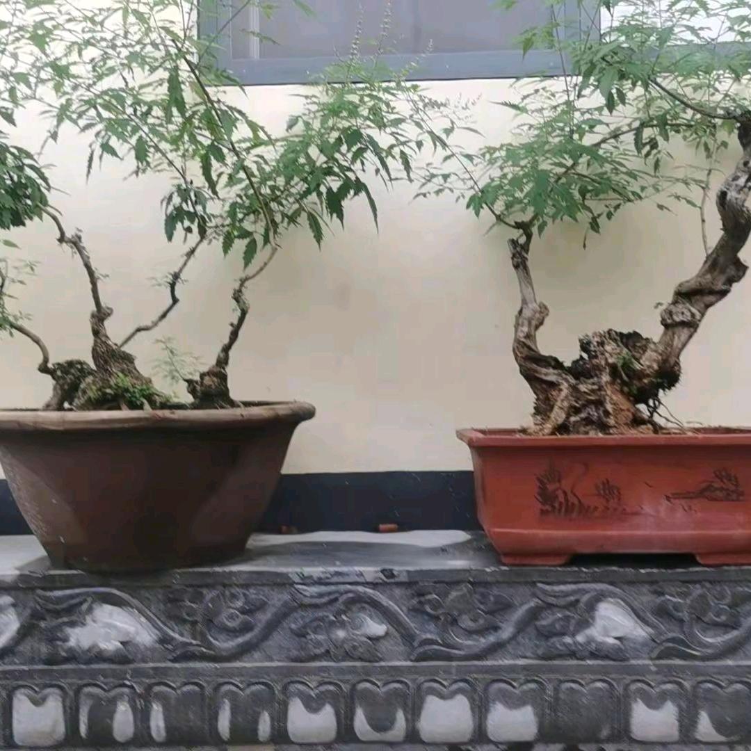 春華秋實