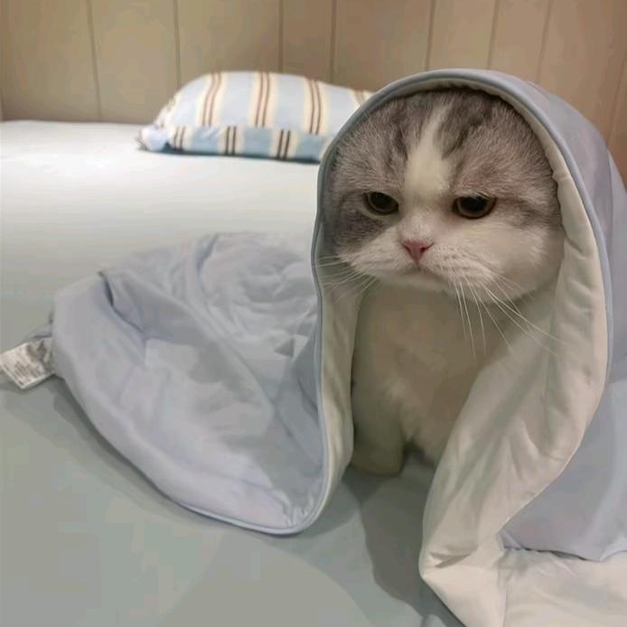 远行