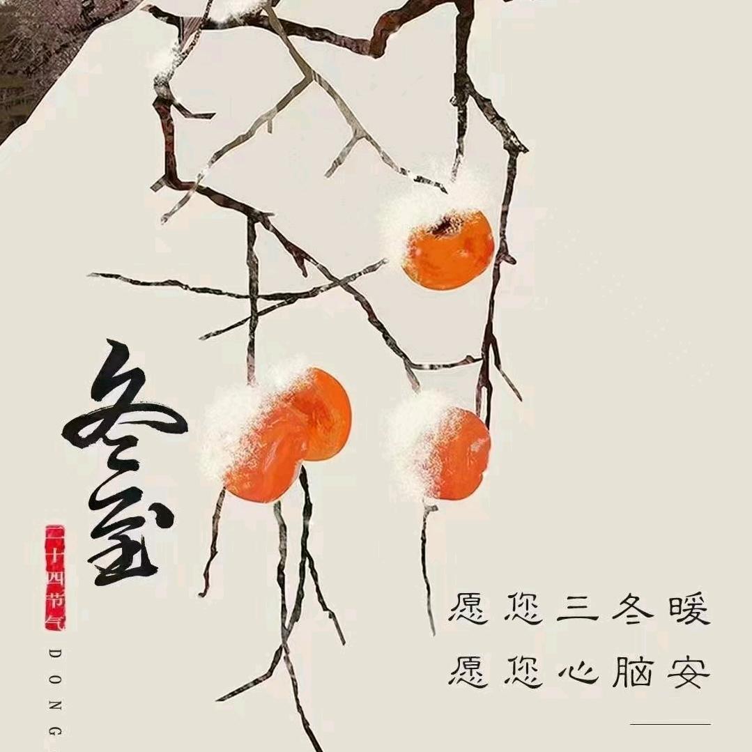 郑在奔赴而来