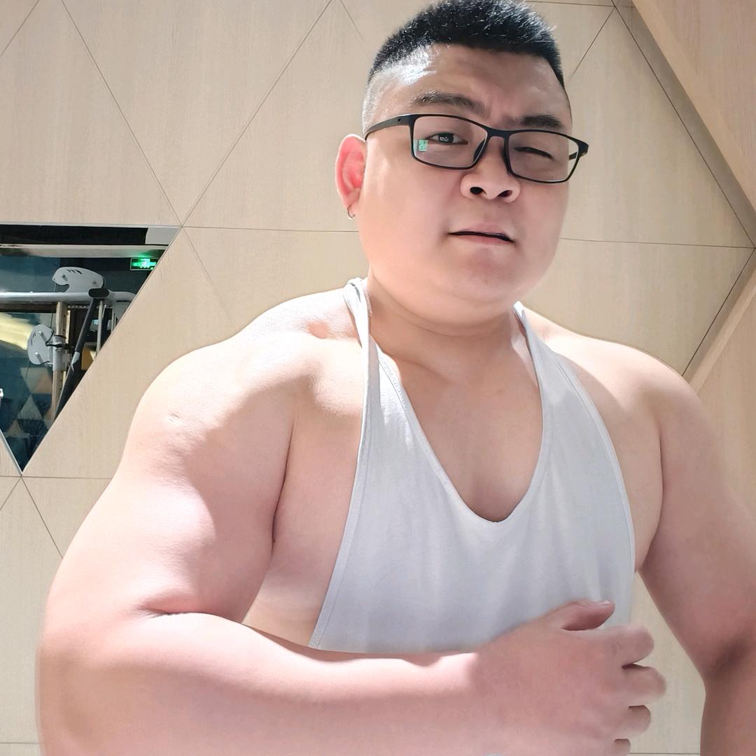 健身的艺猫