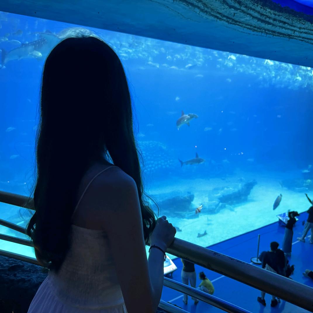 🌈小兔子乖乖🐇🍭