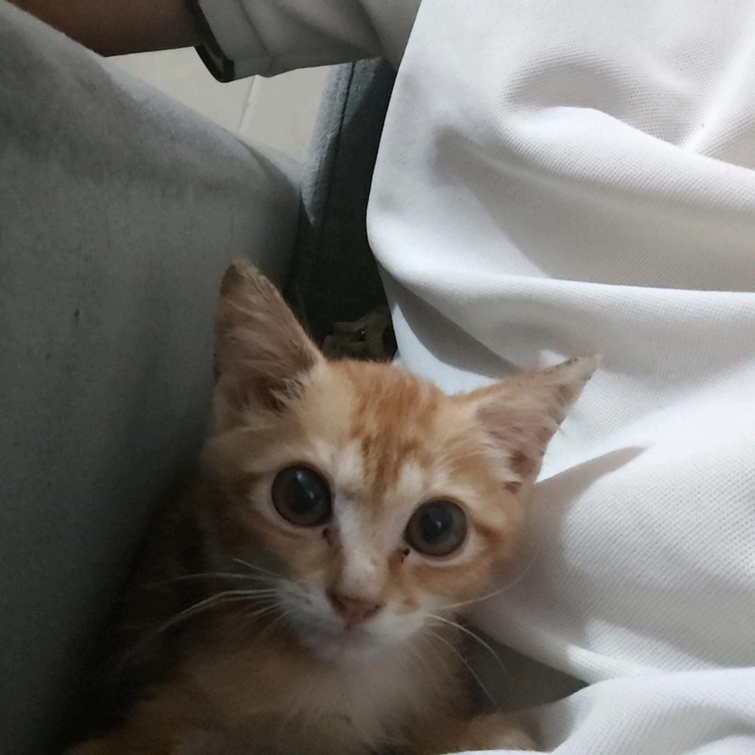 精精神神神神经经