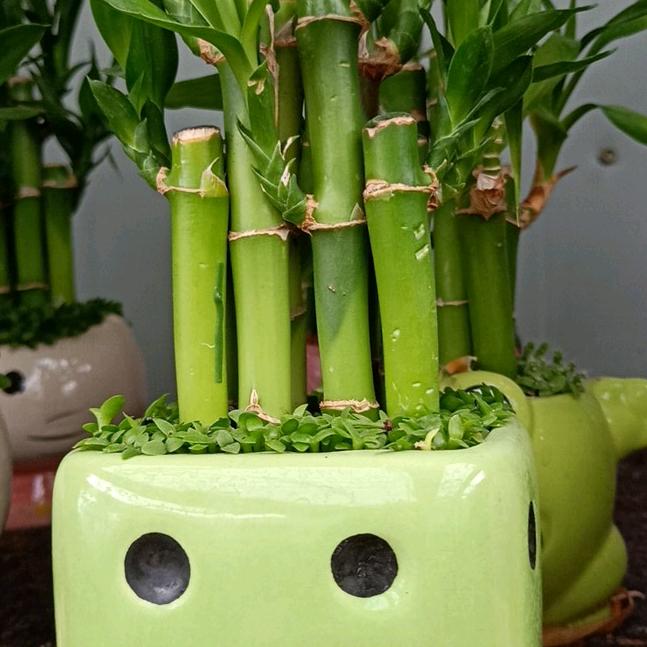 茫茫人海