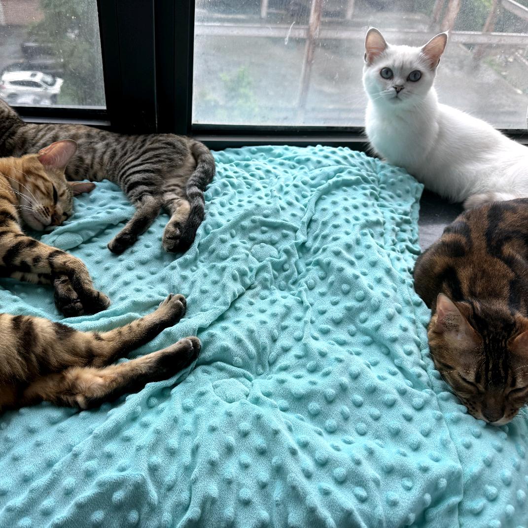 HappyPioneer快乐先锋-穆伟