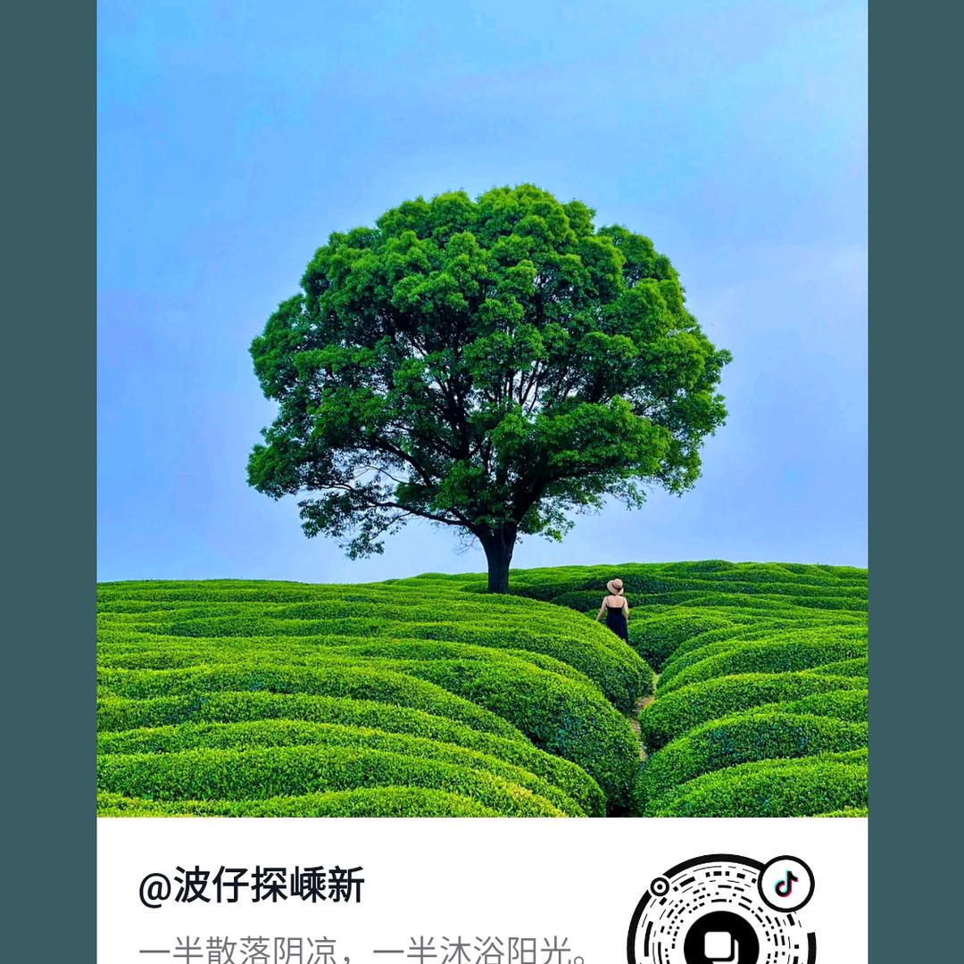 一帆风顺