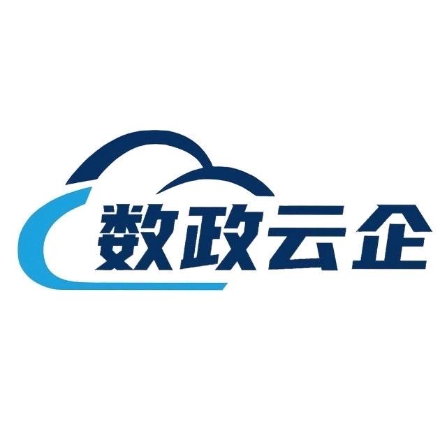 数政云企