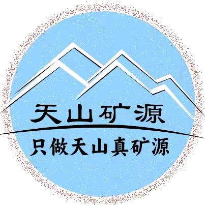 新疆天山矿源小马