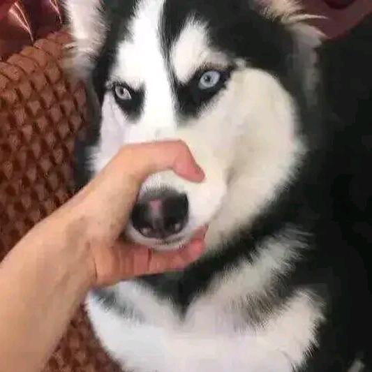 大表哥😘