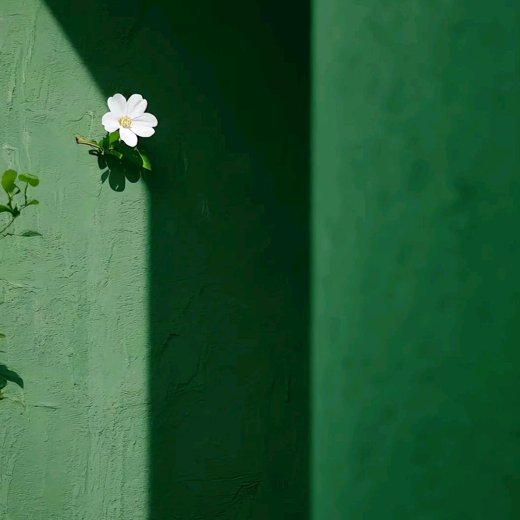 默MO