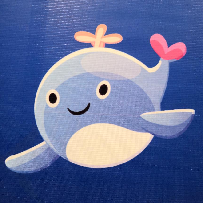 吉多五沙