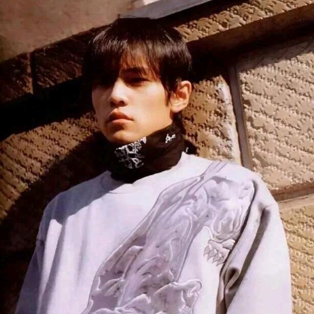 渡渡鸟(三角洲行动)