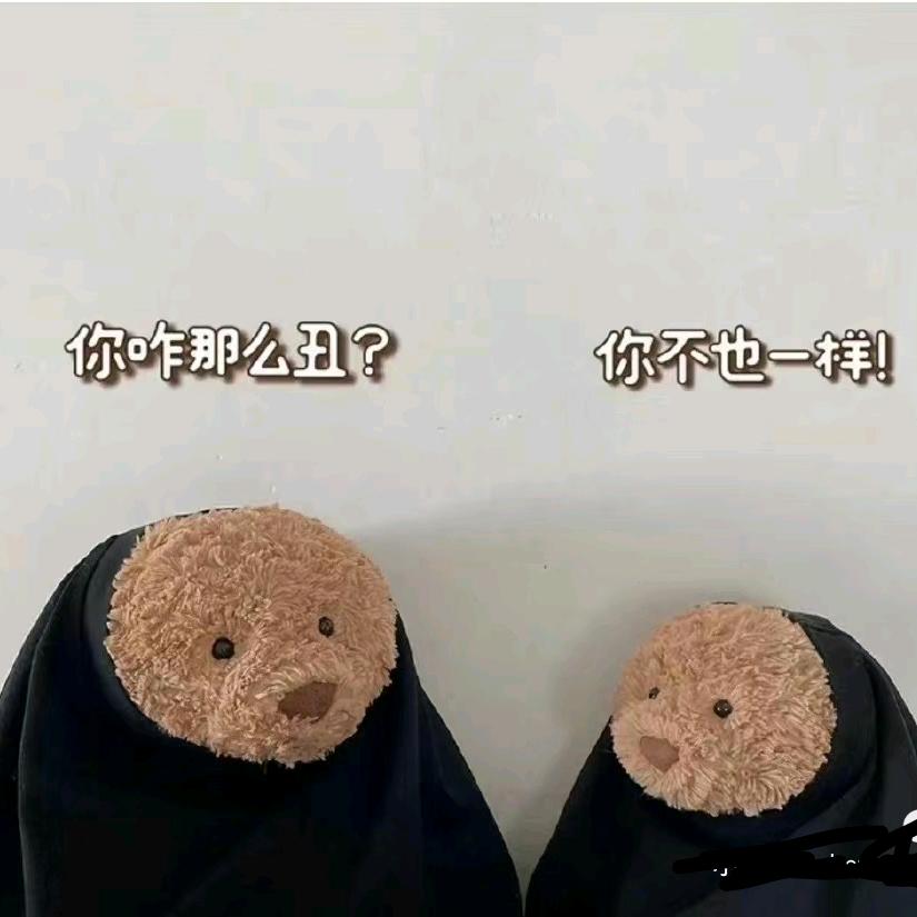 🦔吖头像