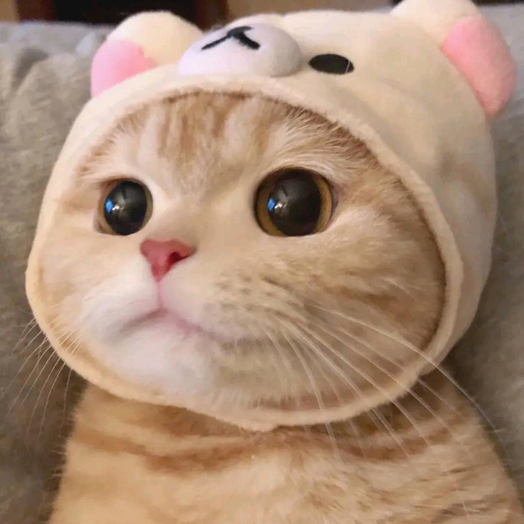 涵儿