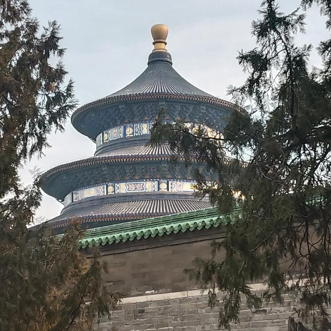高低压相变组合电工(光辉岁月)