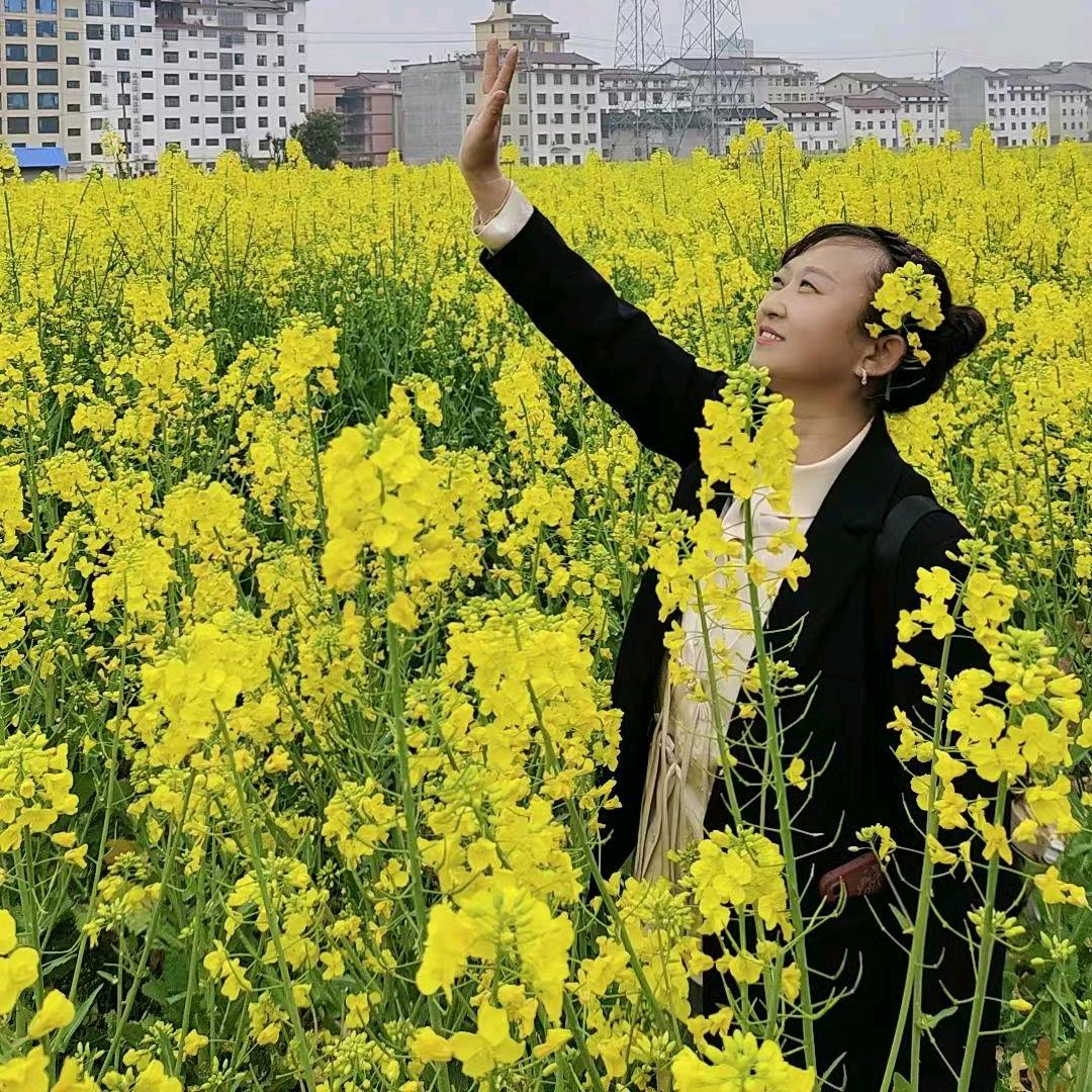 络石藤