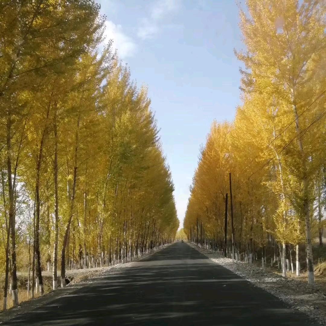 再见不能红着眼