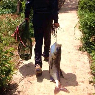 刘志刚钓鱼（探钓鱼情）